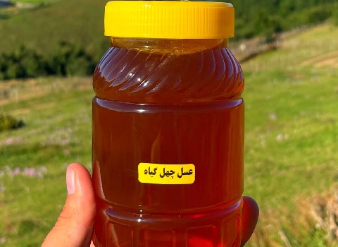 https://shp.aradbranding.com/خرید و قیمت عسل چهل گیاه گون + فروش عمده
